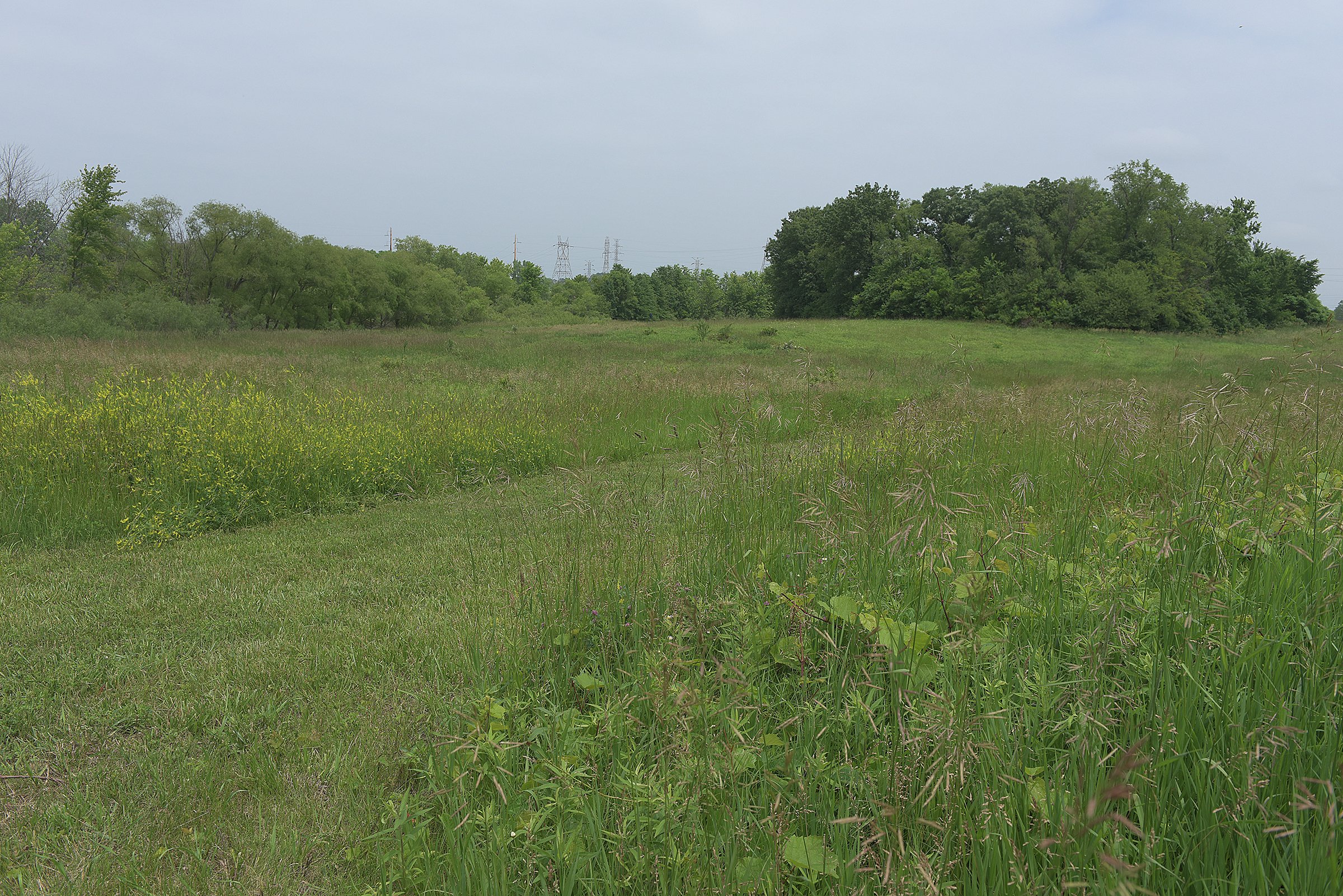 Lake County, Indiana farmland - LAND AUCTION - 147+/- ACRES OFFERED IN 3 TRACTS IN LAKE COUNTY, INDIANA